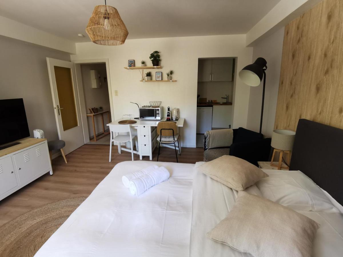Marnesia - Studio Avec Vue Sur Les Quais Strasbourg Ngoại thất bức ảnh