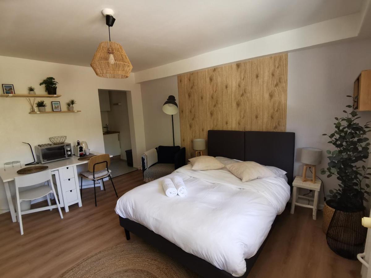 Marnesia - Studio Avec Vue Sur Les Quais Strasbourg Ngoại thất bức ảnh